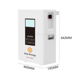 Pin lưu trữ năng lượng mặt trời Asia Energy 51.2V 100AH-5.12kW